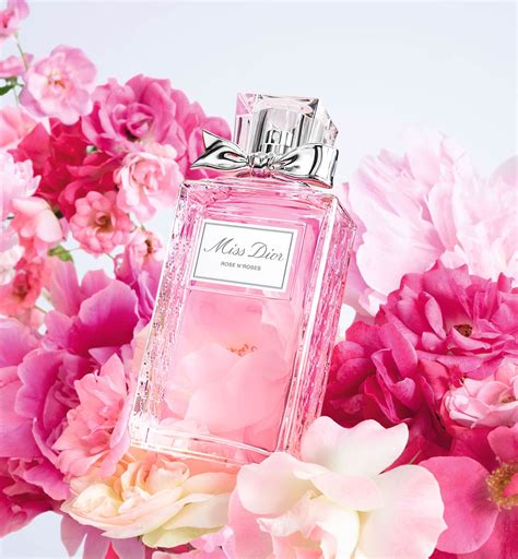 dior miss dior rose n roses|miss dior rose n roses fragrantica.